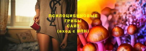 jwh Горно-Алтайск