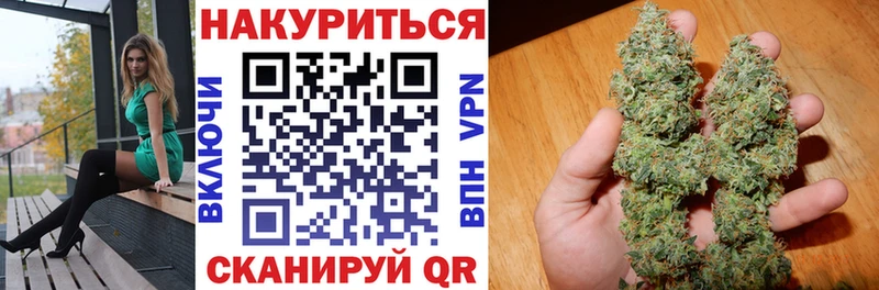 Купить  Сунжа  Каннабис конопля 